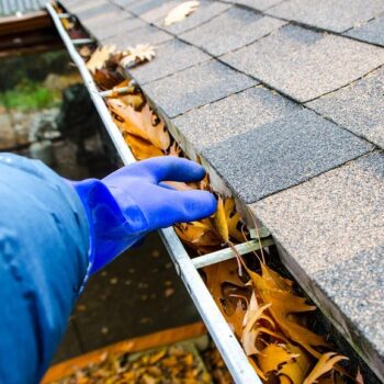 roof gutter cleaning st johns fl